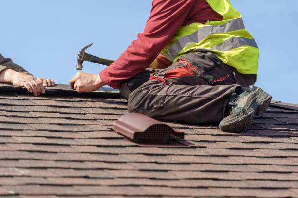 Best Roof Maintenance Services  in Lyman, MS