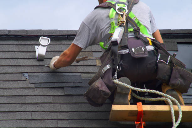 Best Roof Gutter Cleaning  in Lyman, MS