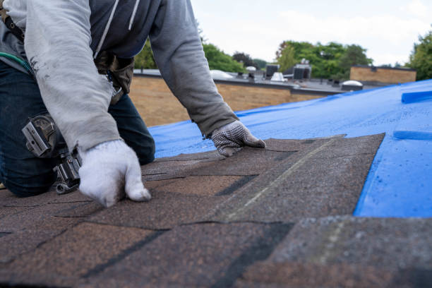 Best Local Roofing Companies  in Lyman, MS